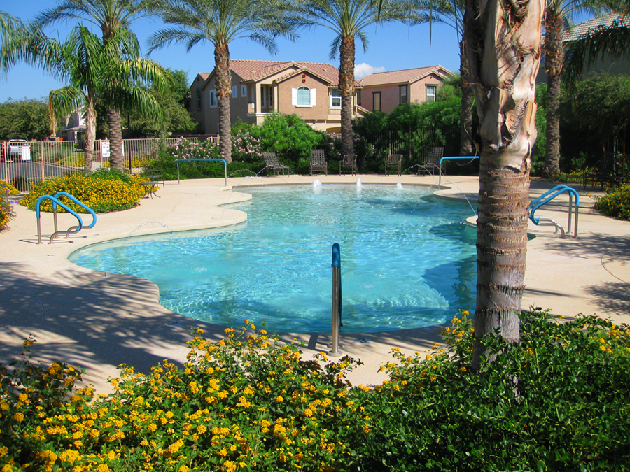 Sparkling association pool - 4034 E Tulsa St, Gilbert AZ - Bill Salvatore, Realty Executives East Valley - 602-999-0952