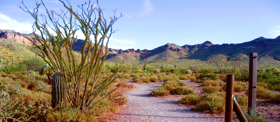 Usery Park, Pass Mountain Trail, Maricopa Regional Parks - Bill Salvatore, Realty Executives East Valley - 602-999-0952