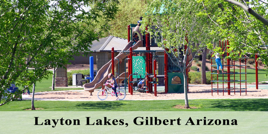 Layton Lakes, Glbert Arizona - Bill Salvatore, Realty Executives East Valley - 602-999-0952