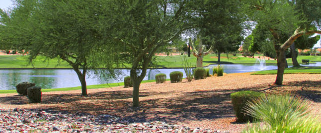 Lake at Palo Verde Golf Course, Sun Lakes, Arizona