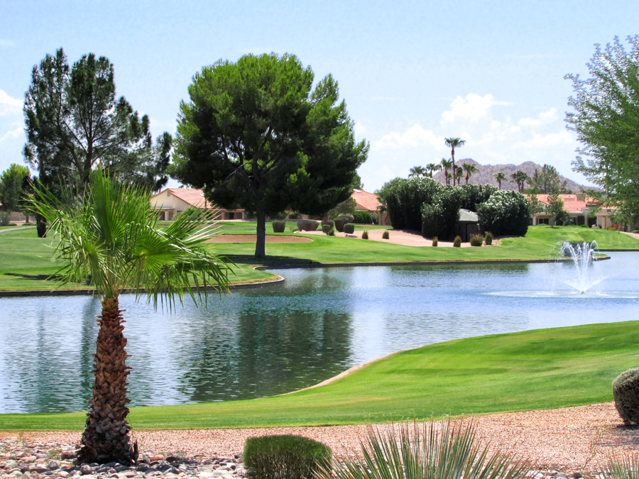 Executive Golf Course - 10822 Sunnydale Drive, Sun Lakes, Arizona - Bill Salvatore, Realty Excellence East Valley - 602-999-0952