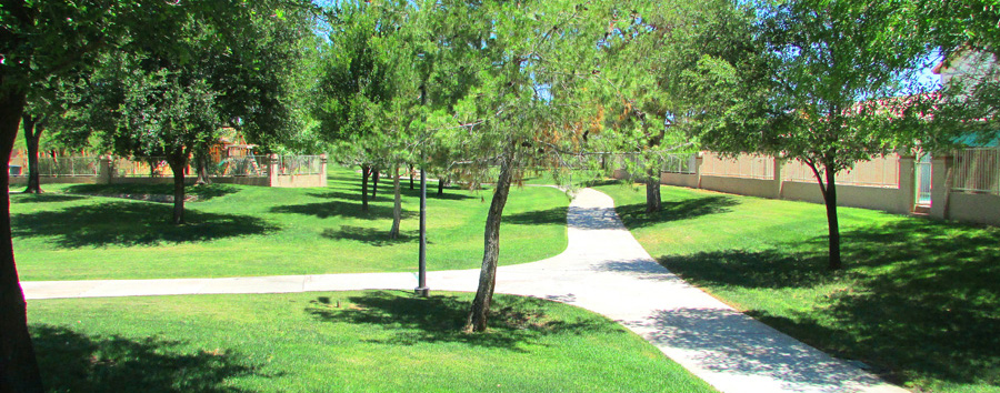 Walking Trails, Park, Walkable Cities