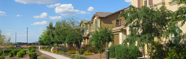 Arizona Community, tree-lined street