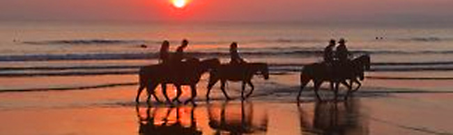 sunset and ocean behind horseback riders on the beach - Costa Rica homes for sale, Real Estate in Costa Rica, Costa Rica vacation rentals - Bill Salvatore, Arizona Elite Properties 602-999-0952 - Arizona Real Estate