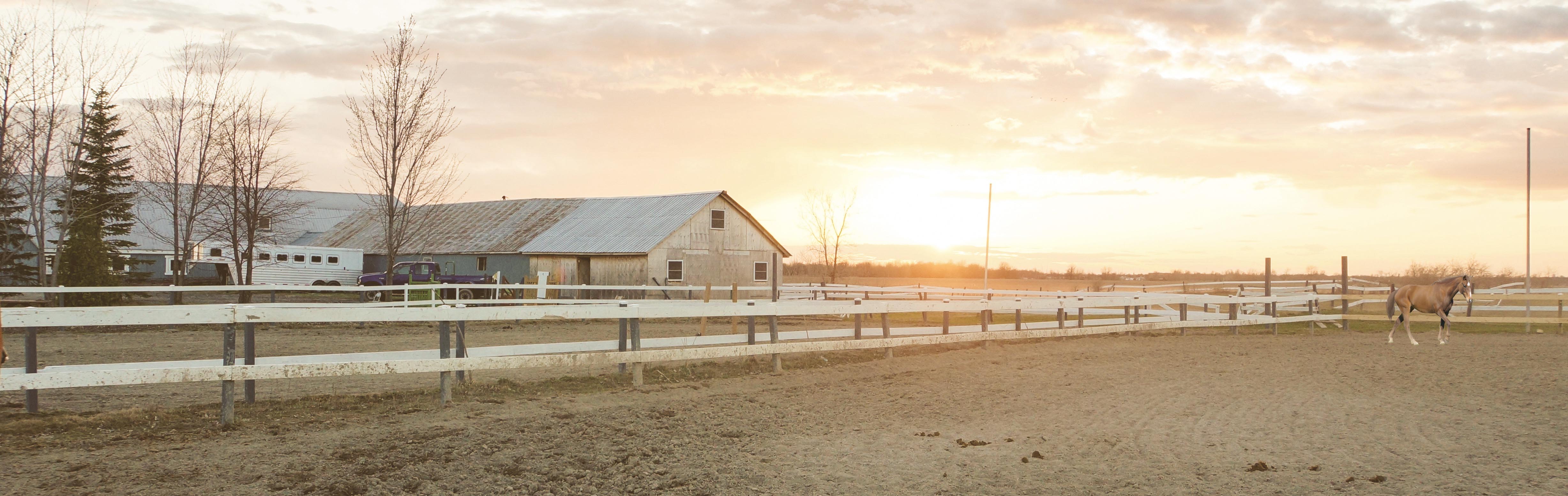 Barns and Corral at sunrise - Horse Properties for Sale, Arizona Horse Property, East Valley, Gilbert Horse Property for Sale - Photo by jon-phillips on Unsplash