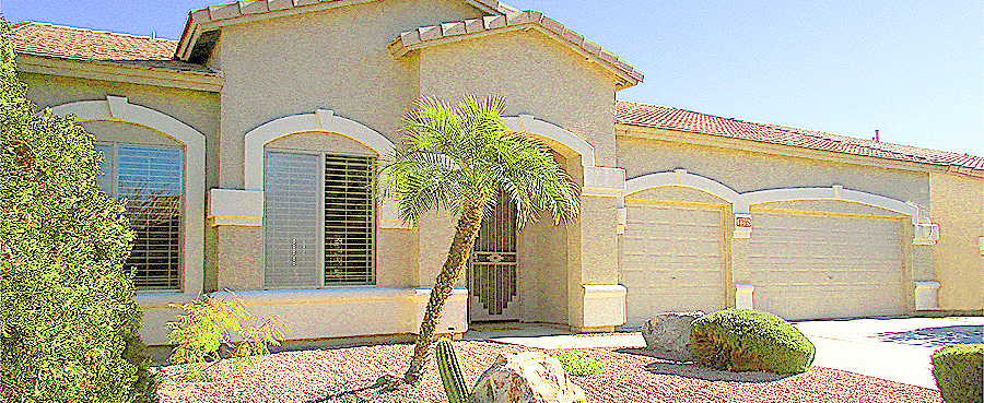 Single level home with 3-car garage, palm trees and cactus in front yard - 1205 S Sandstone St, Gilbert AZ - 3 Bedroom, 2 Bath Home for Sale in Western Skies Golf Community - Bill Salvatore, Arizona Elite Properties 602-999-0952-Arizona Real Estate